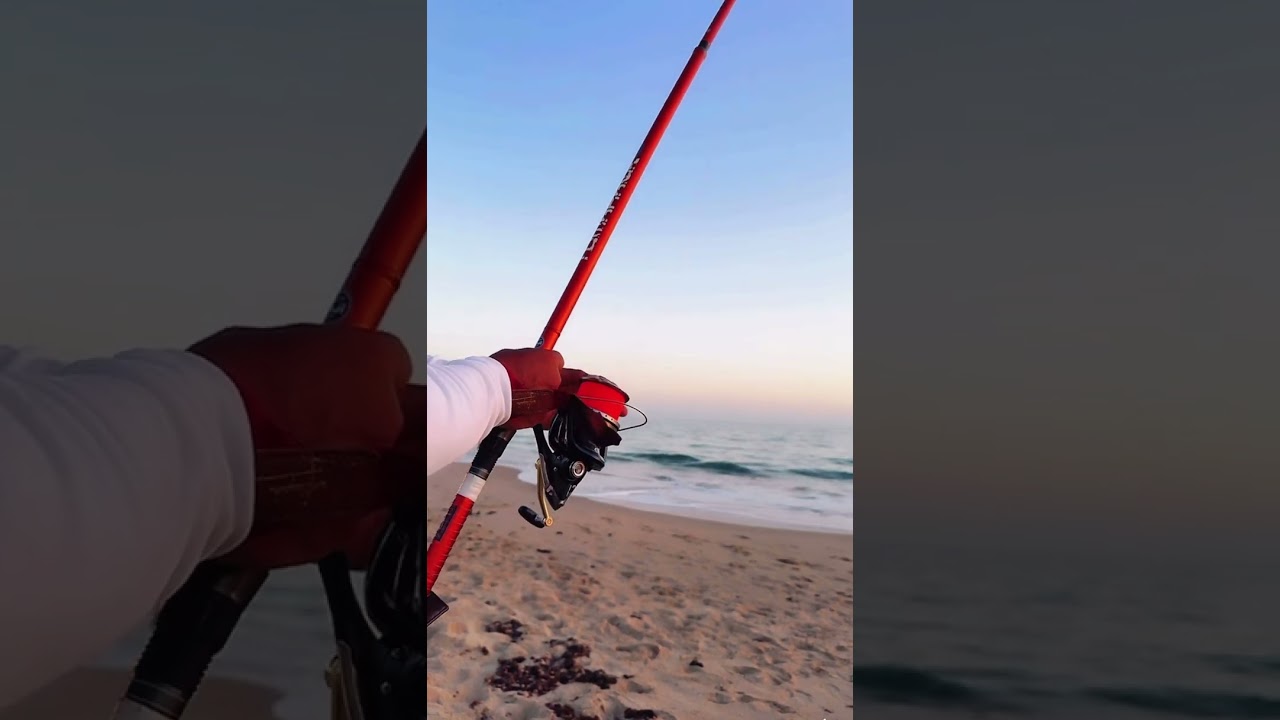 LA LUCHA DEL SIGLO !! PEZ GIGANTE RAUL MARIO SURFCASTING 2024 NO LINE !!!