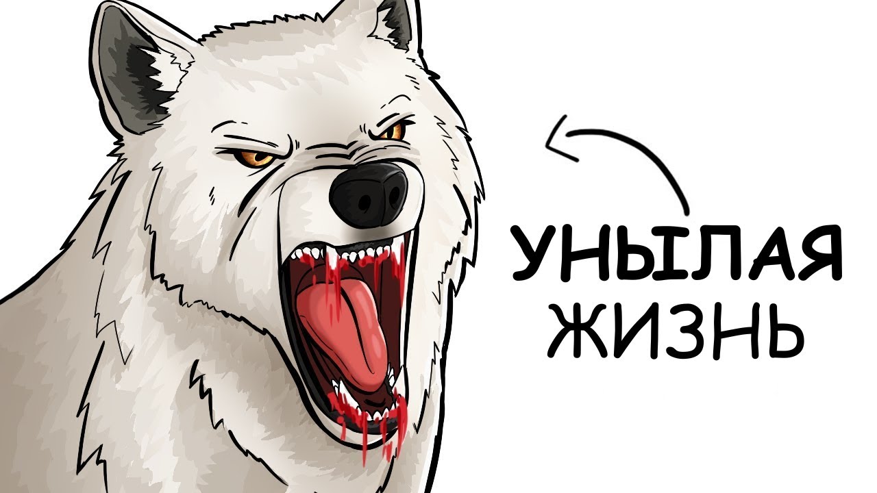 Ты – Полярный волк (И ЭТО ВСЯ ТВОЯ ЖИЗНЬ)