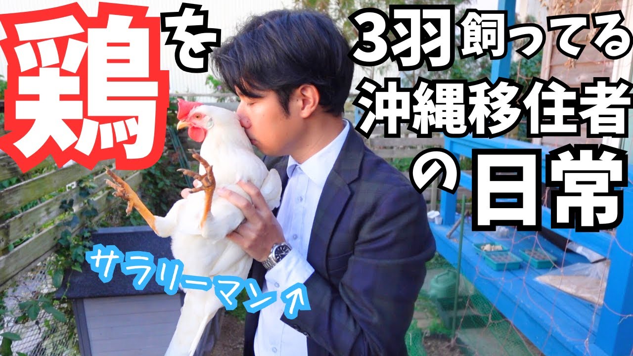 【沖縄移住】鶏とピザとビールで満たされる、華金Vlog