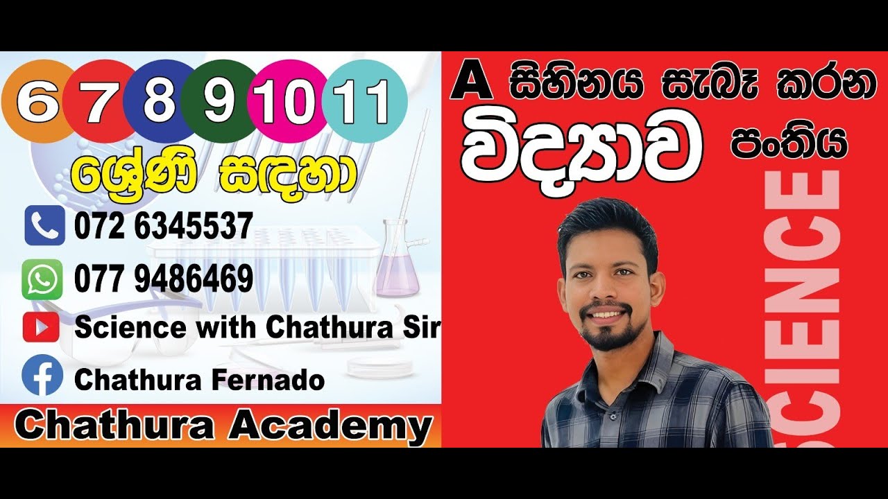 6 ශ්‍රේණිය. 1 වන පාඩම. අප අවට ඇති දෑ. 1 කොටස. 22.12.2025 ( නව විෂය නිර්දේශය)