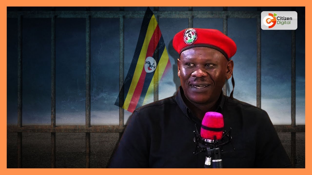 Two Kenyan activists abducted in Uganda after joining Bobi Wine campaign