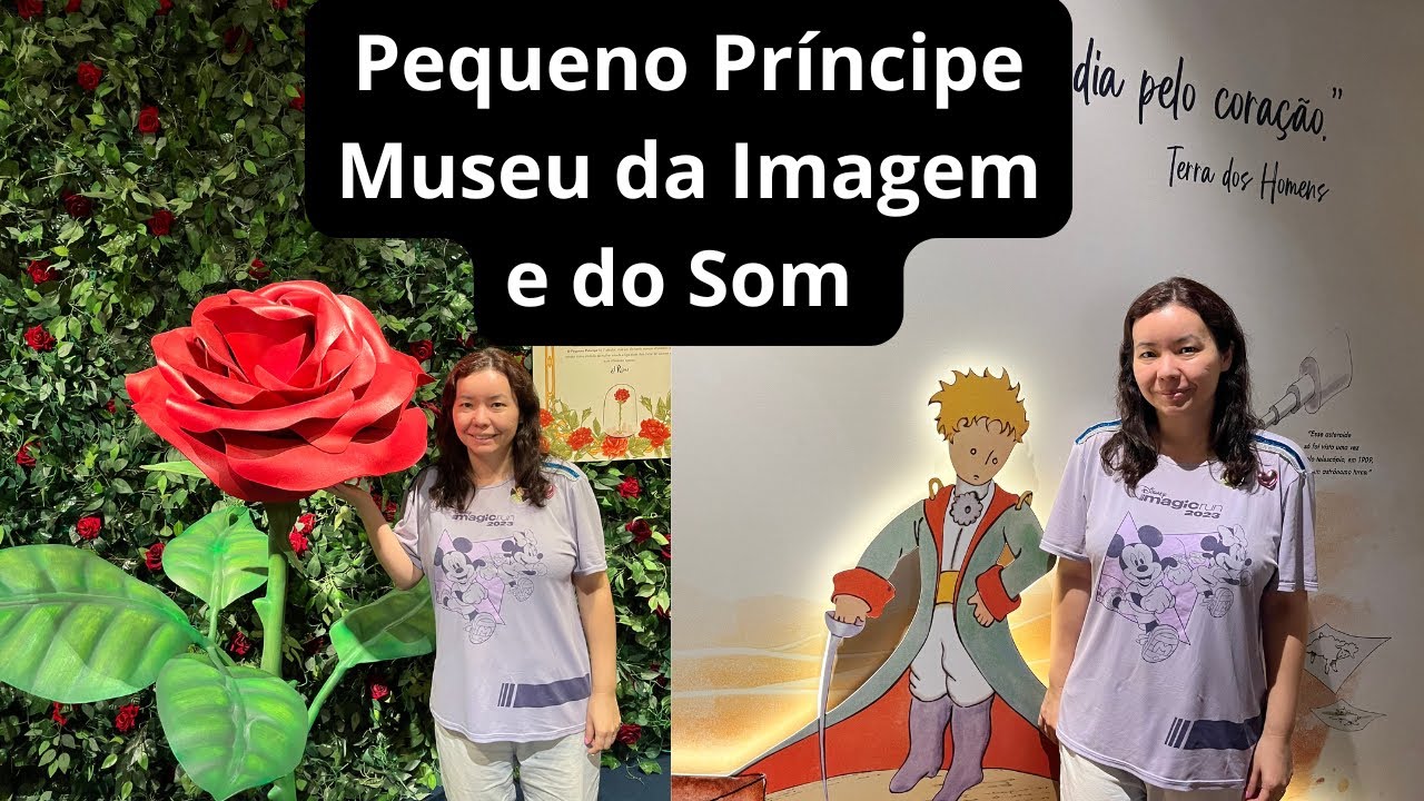 Exposição Pequeno Príncipe | Vanessa Tiemi