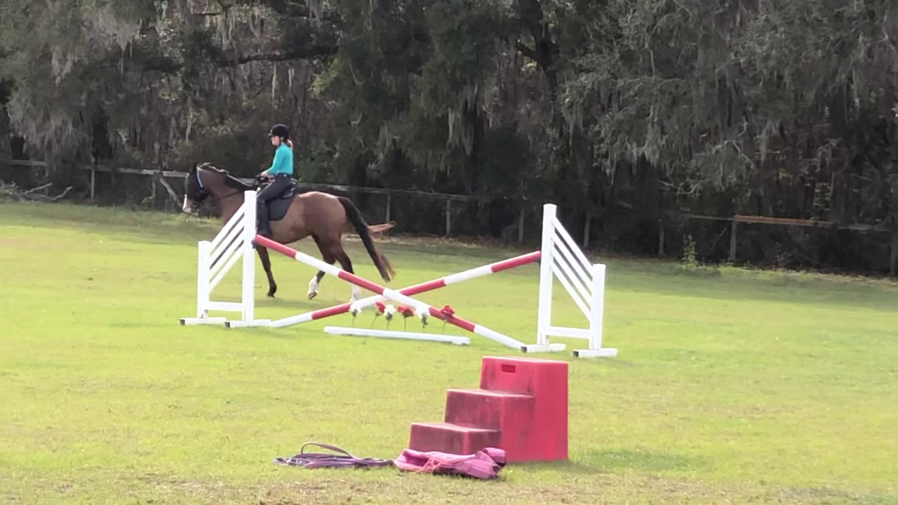 Gerd Heuschmann Clinic 2/4/20 April and Windsor 9