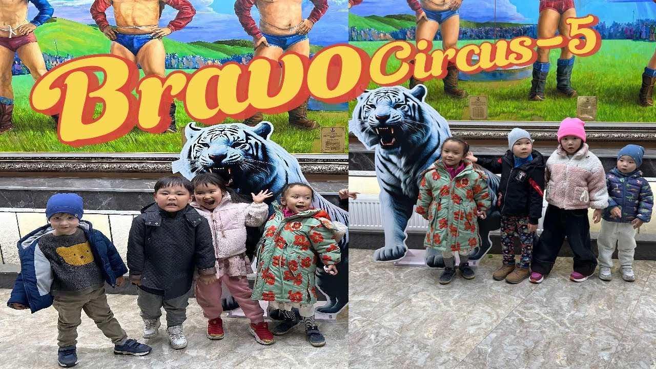 Bravo Circus-5: A Spectacle of Beauty, Courage, and Magic!