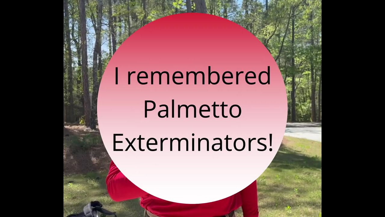 Pest Control Story - How Palmetto Exterminators Saved Me!
