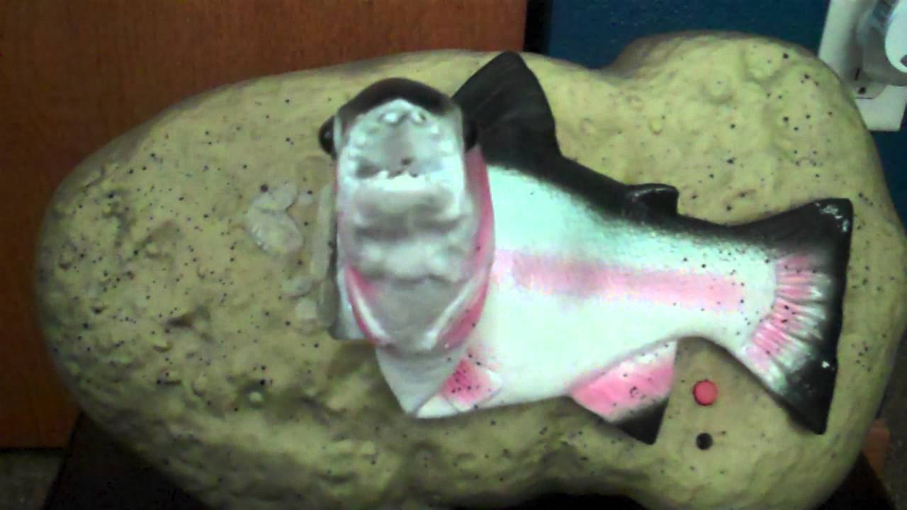 ***TRAVIS TROUT*** (Singing Fish)