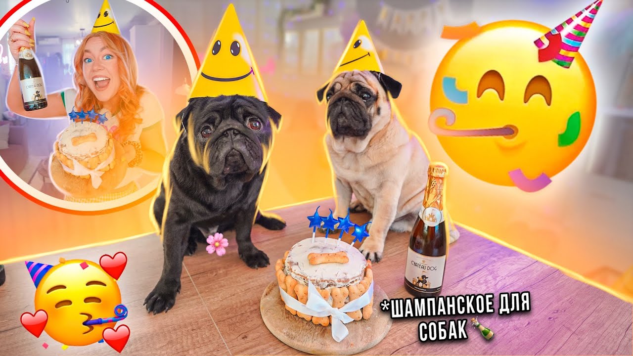 УСТРОИЛИ ТУСОВКУ🍾👉на ДЕНЬ РОЖДЕНИЕ БАКСА🥳VLOG