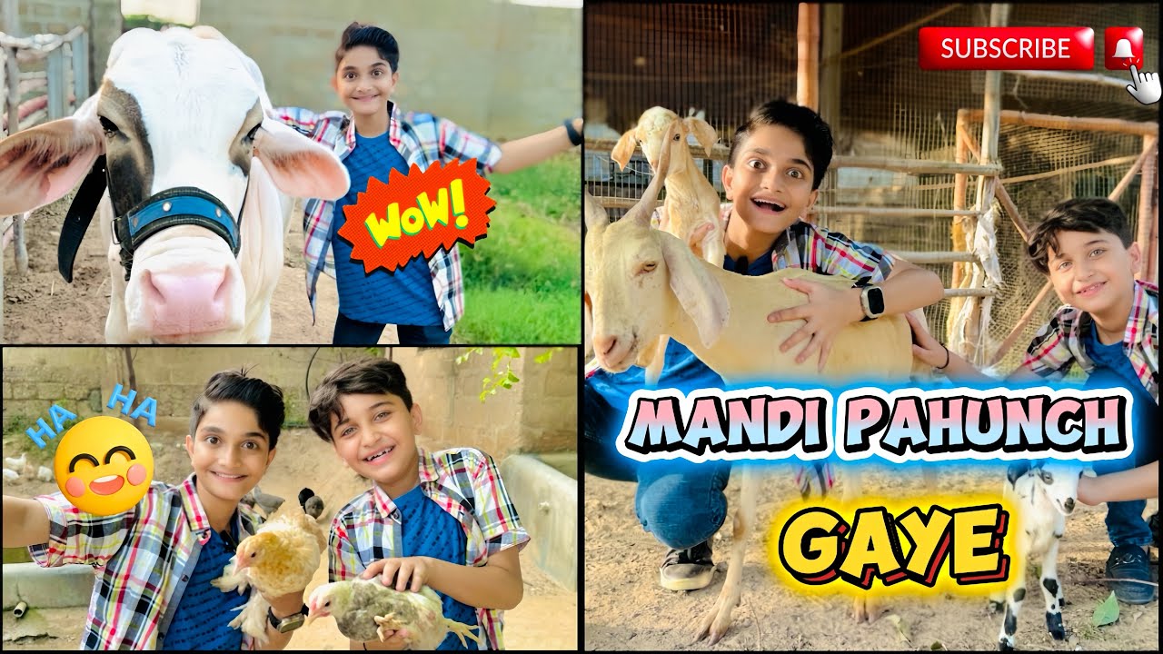 aaj cattle 🐄 farm gaye bara maza agya ||chotebhaibadebhai02￼