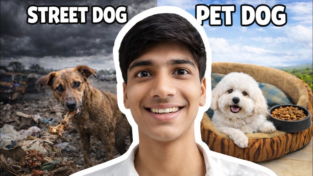Street dog 🐕vs Pet Dog🙂 - Better Life❓