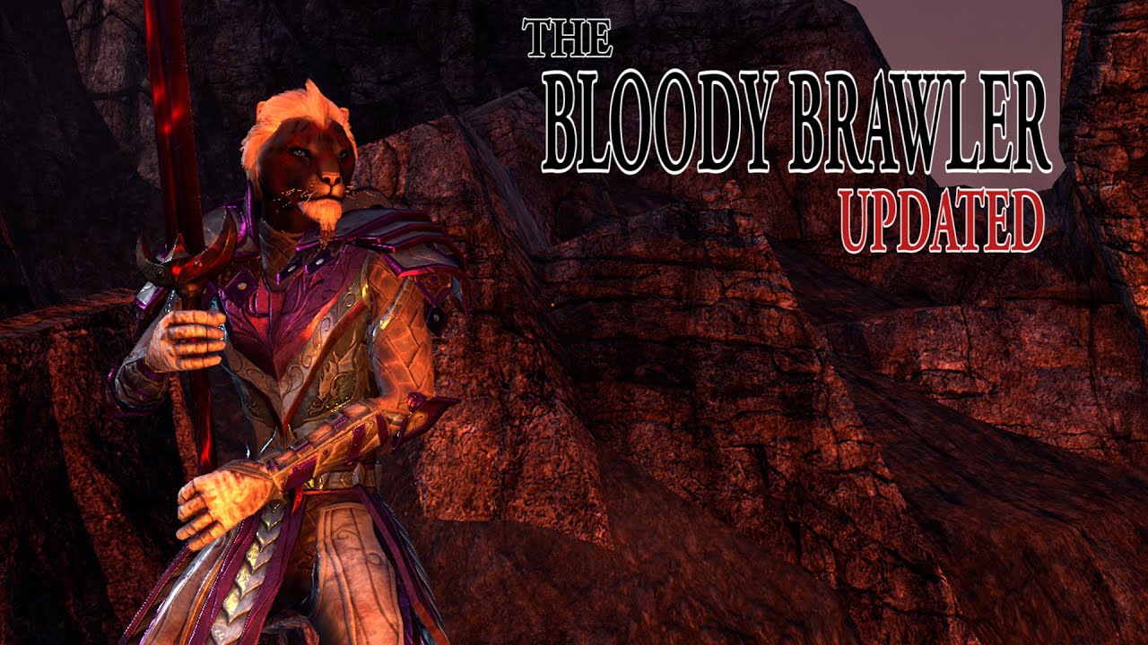 The Bloody Brawler (Updated) - Amazing Dragonknight Leveling Build