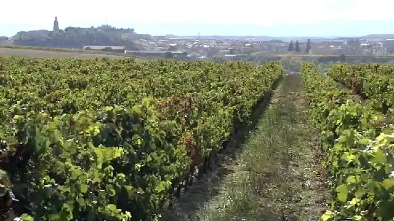 Bodegas Muga &middot; Introducci&oacute;n