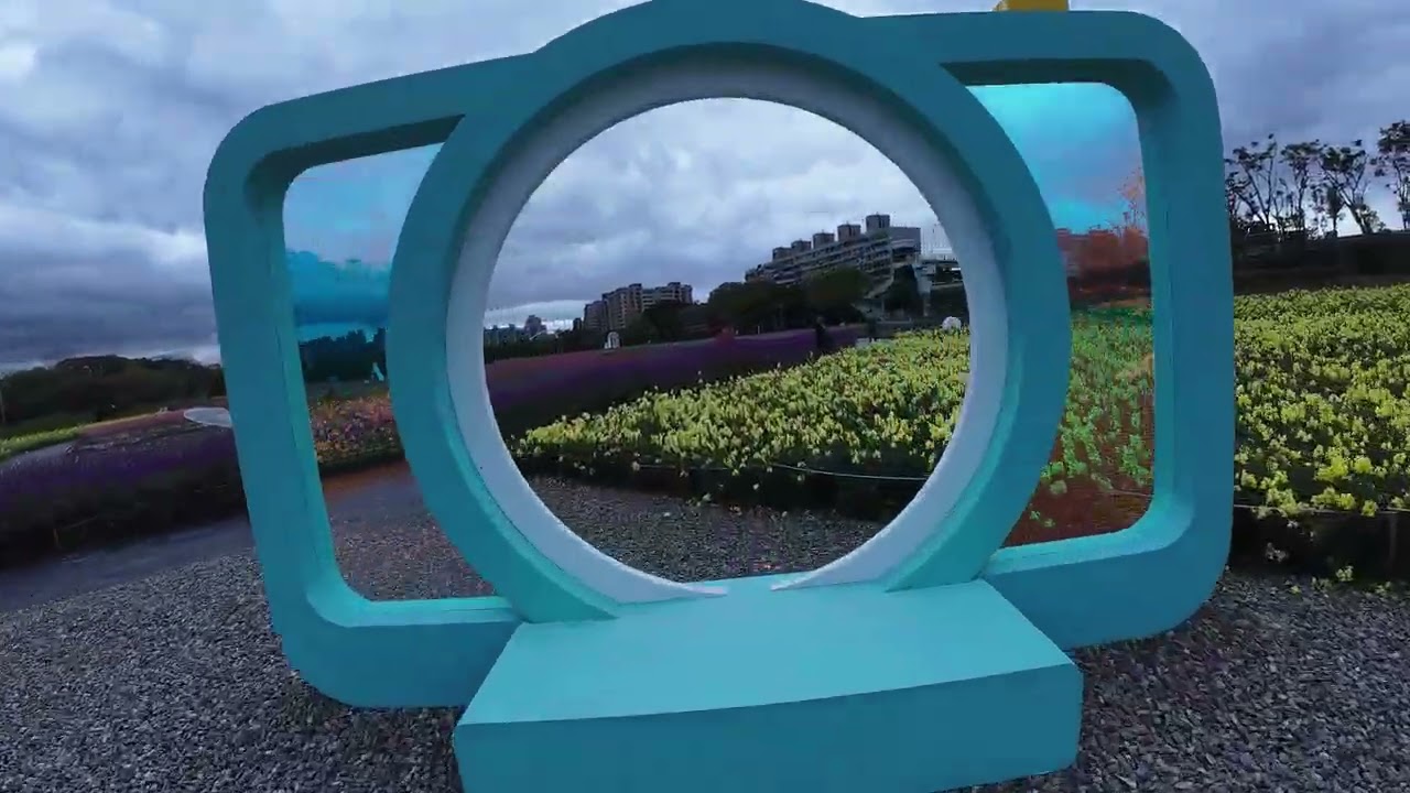 20260306古亭河濱公園花海包場飛