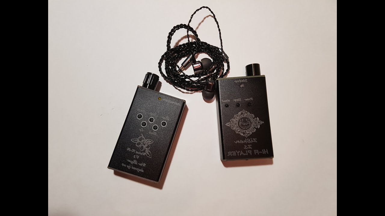 zishan z1 dsd или Walnut v2s что выбрать?