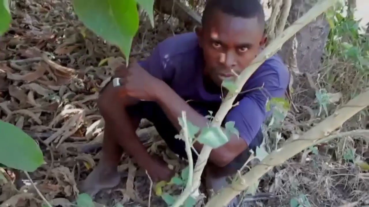 Katrananga magnary maloto