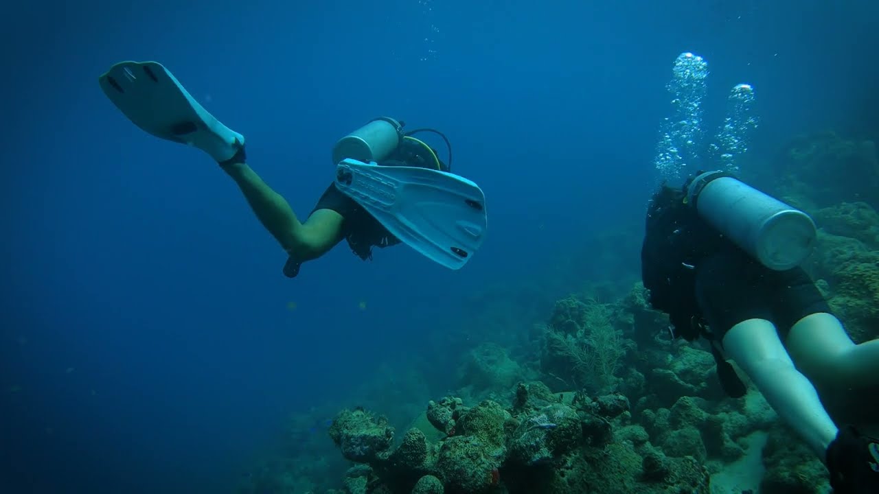 Scuba Diving on Aruba A Shore Dive with Jads Diving Center