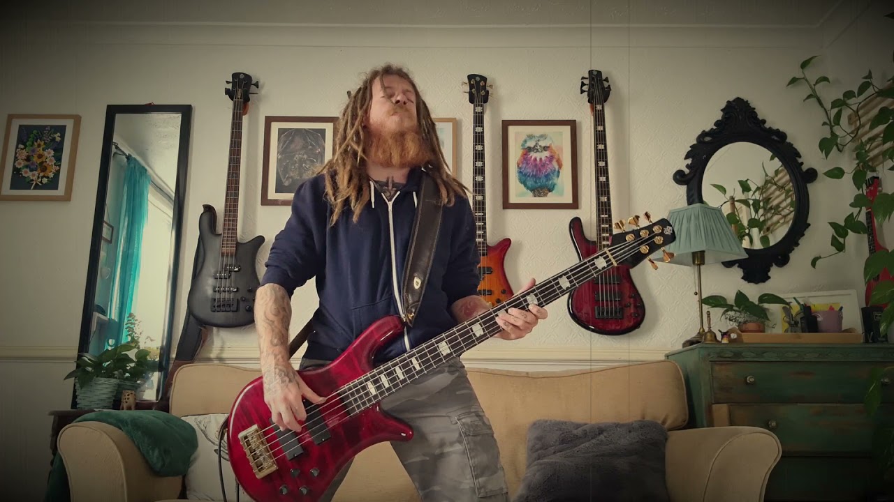 Take A Look Around - Limp Bizkit (Bass Cover)