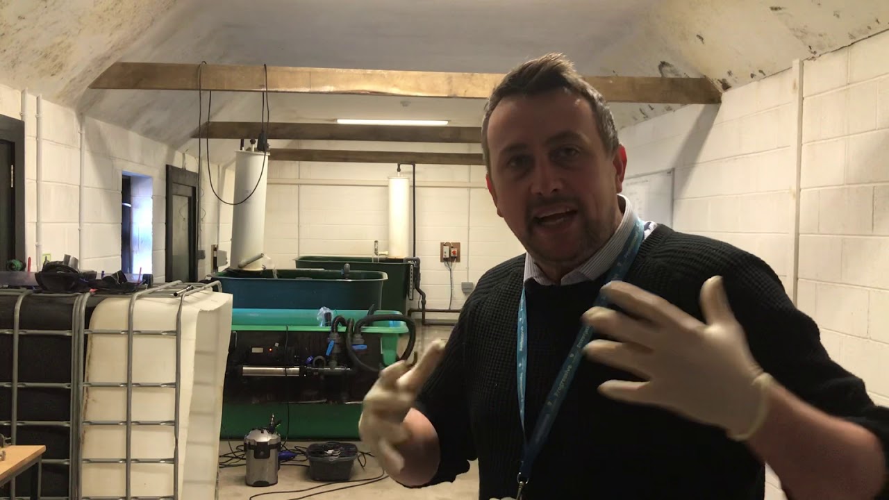 Plumpton College Aquaculture Routine Fish Husbandry