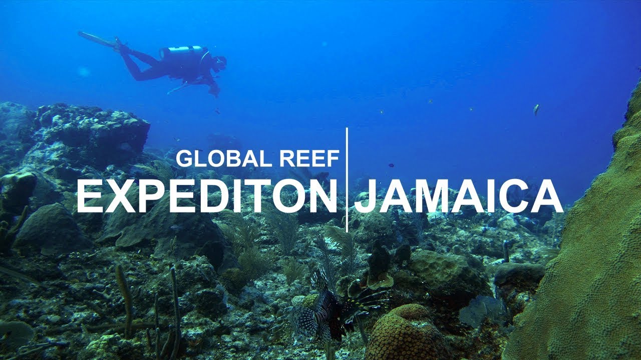 Global Reef Expedition: Jamaica