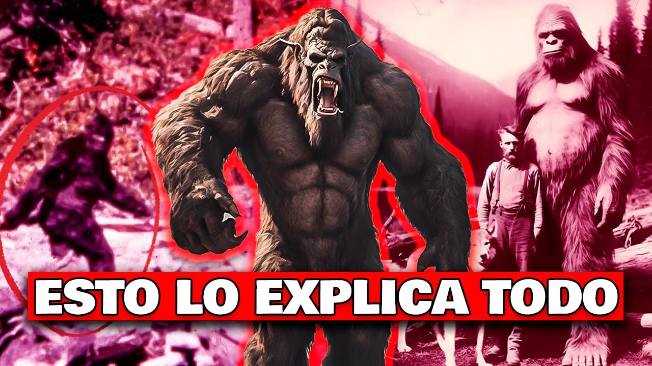 Lo que descubrimos sobre PIE GRANDE no debería salir a la luz  - El Caso Big Foot/Sasquatch