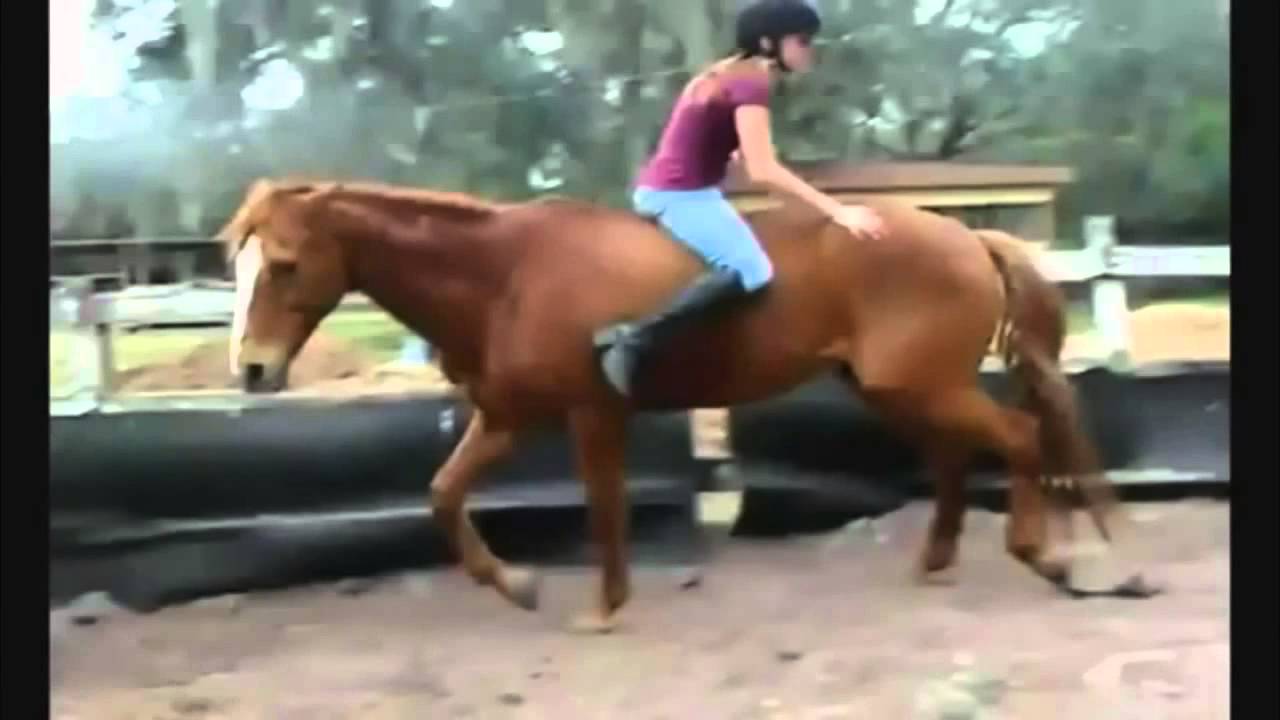 Girls Fail Compilation 2013 HD