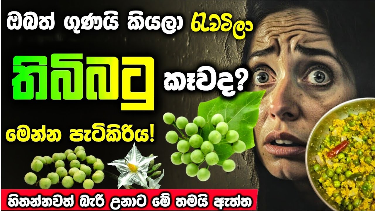 තිබිබටු ගෙඩියක් කරපු දෙයක්😥ඇත්තටම මෙහෙමද තිබිබටු? තිබිබටු වල ගුණ අගුණ