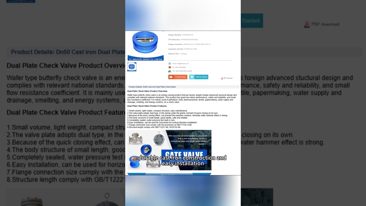 Industrial Valve Spotlight | DN50 Dual Plate Check Valve for Water & HVAC Systems