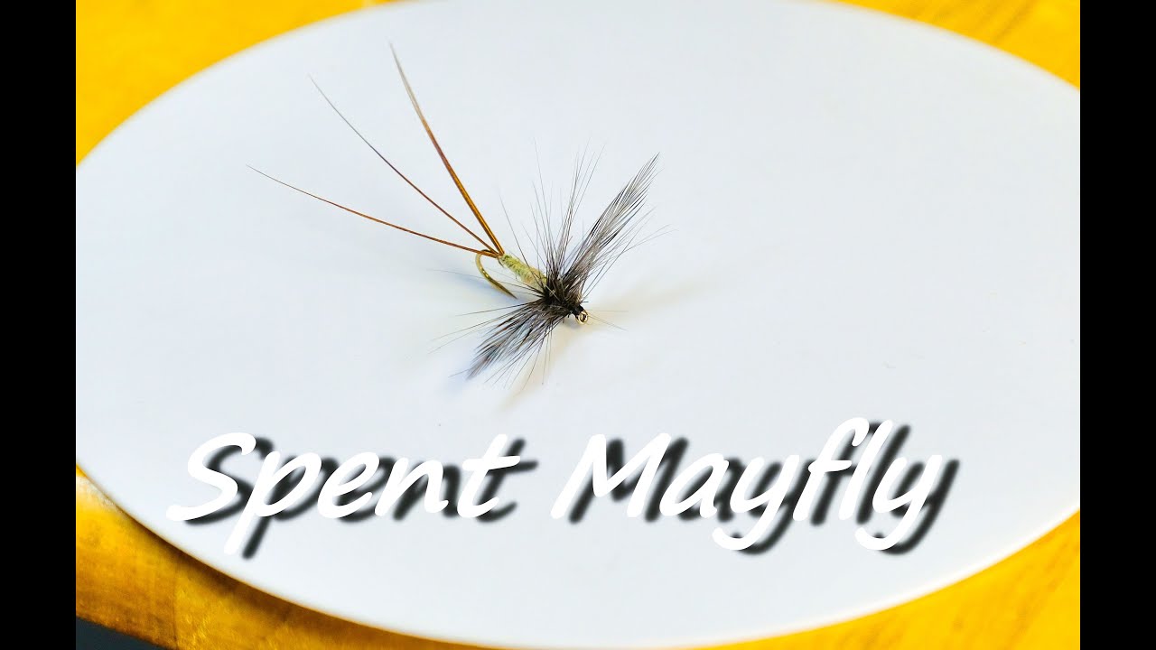 Spent Mayfly Flytying Tutorial
