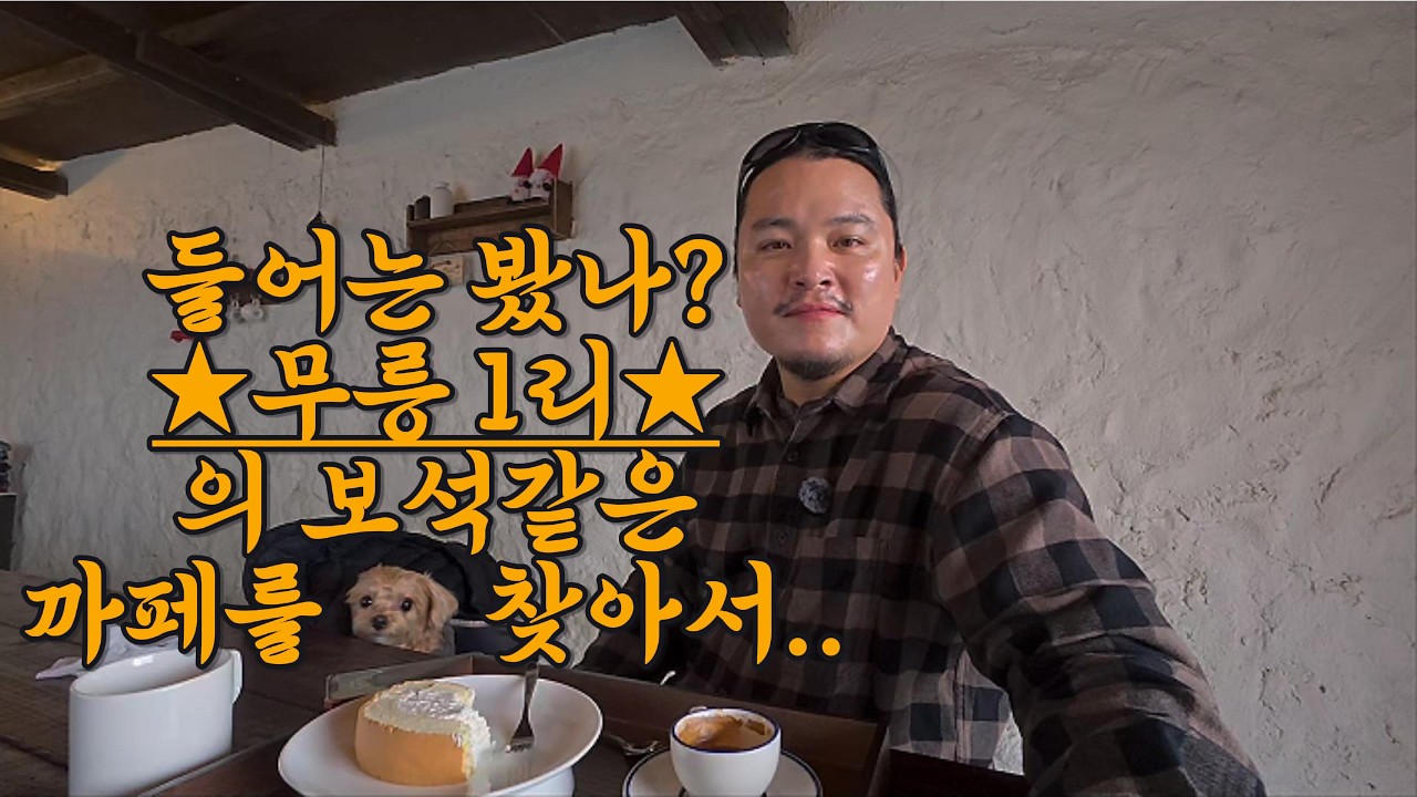 들어는 봤나 무릉1리! 의 보석같은 까페를 찾아서~ #제주도카페 #제주도여행