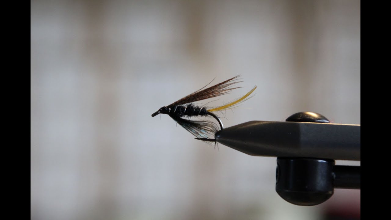 Fluebinding med Martin Hedegaard - Connemara Black