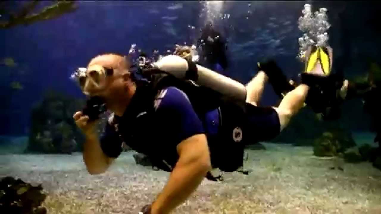 Epcot Dive Quest