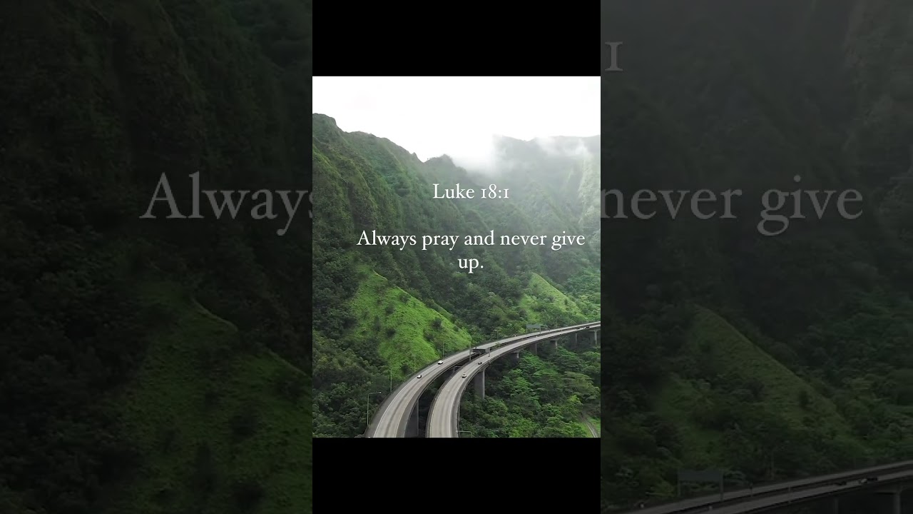 Always Pray and never give up #love #walkinspiritoftheholyspirit #god #jesus #handofthelord #lord