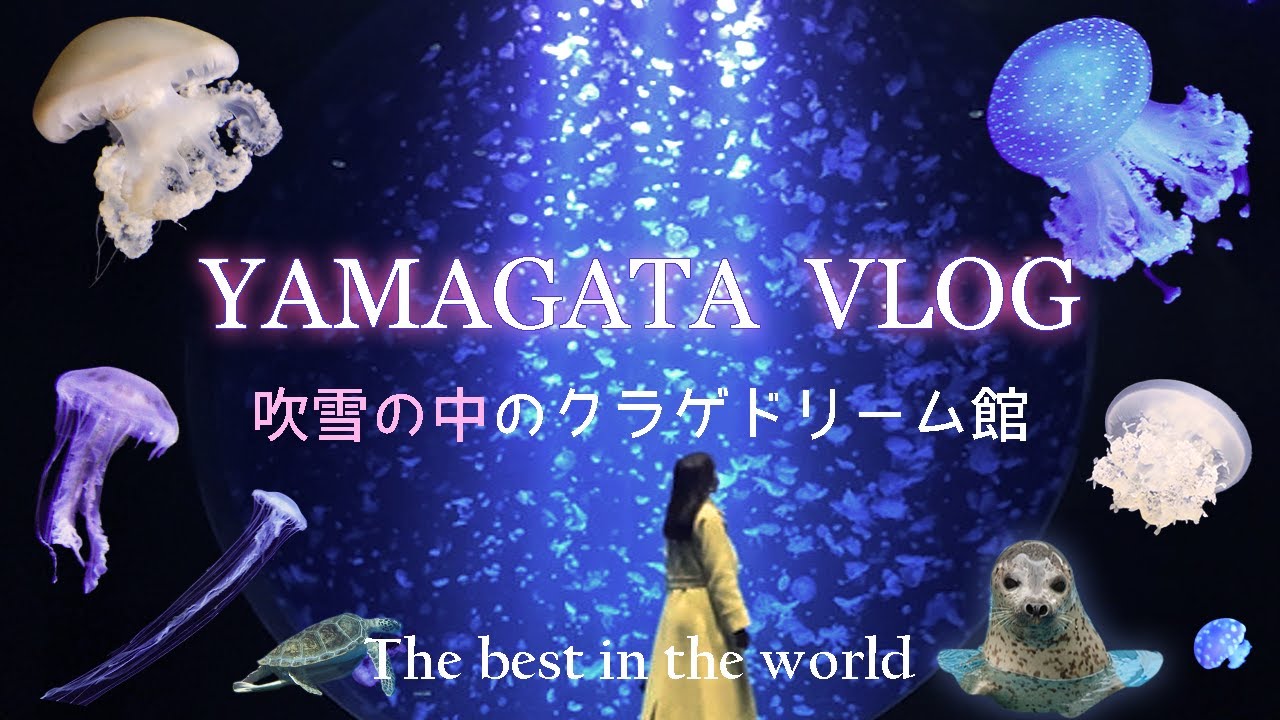 世界一のクラゲ水族館！冬の日本海【鶴岡市立加茂水族館：クラゲドリーム館】＜山形Vlog・山形観光スポット＞