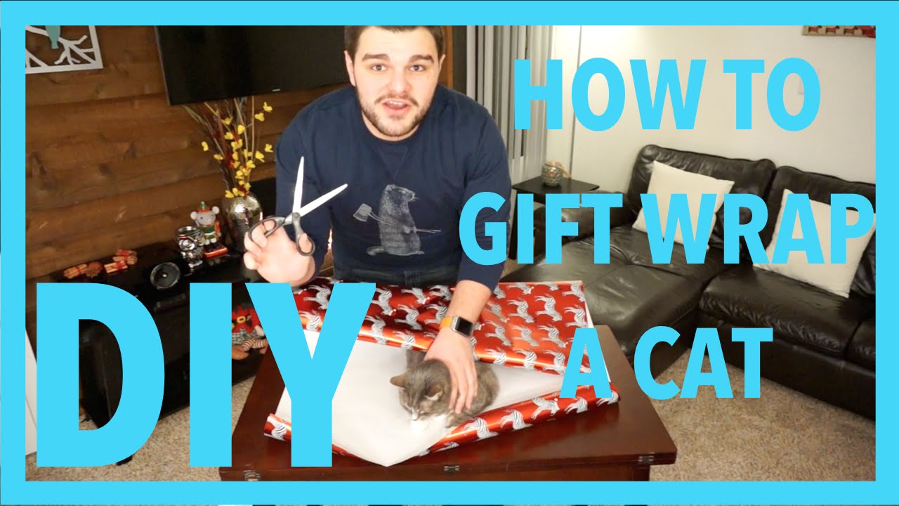 VINNY DUKE DIY: HOW TO GIFT WRAP A CAT