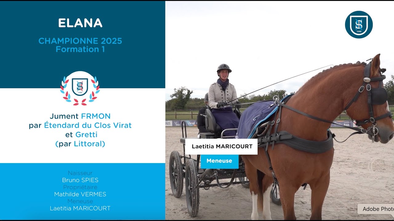 Attelage 2025 - ELANA et Laetitia Maricourt - Formation 1