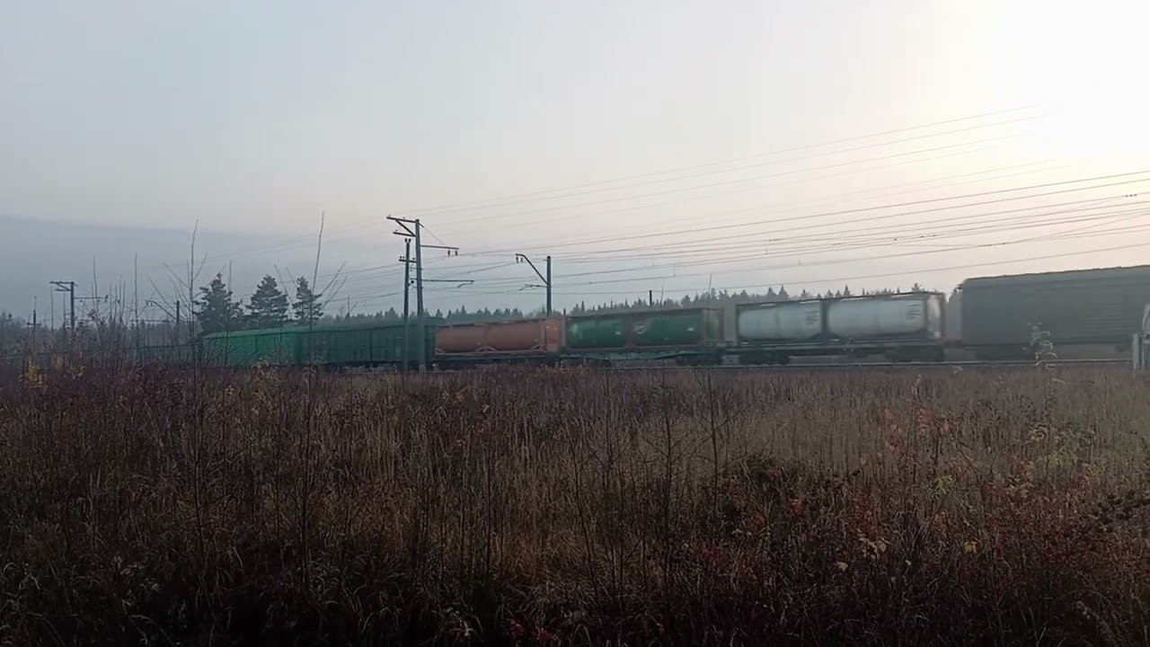 Грузовой поезд ВЛ11 на перегоне Александров 2 - Карабаново
