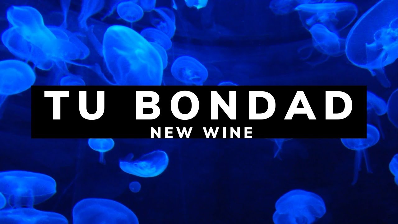 Tu Bondad/ LETRA - New Wine [LIVE]