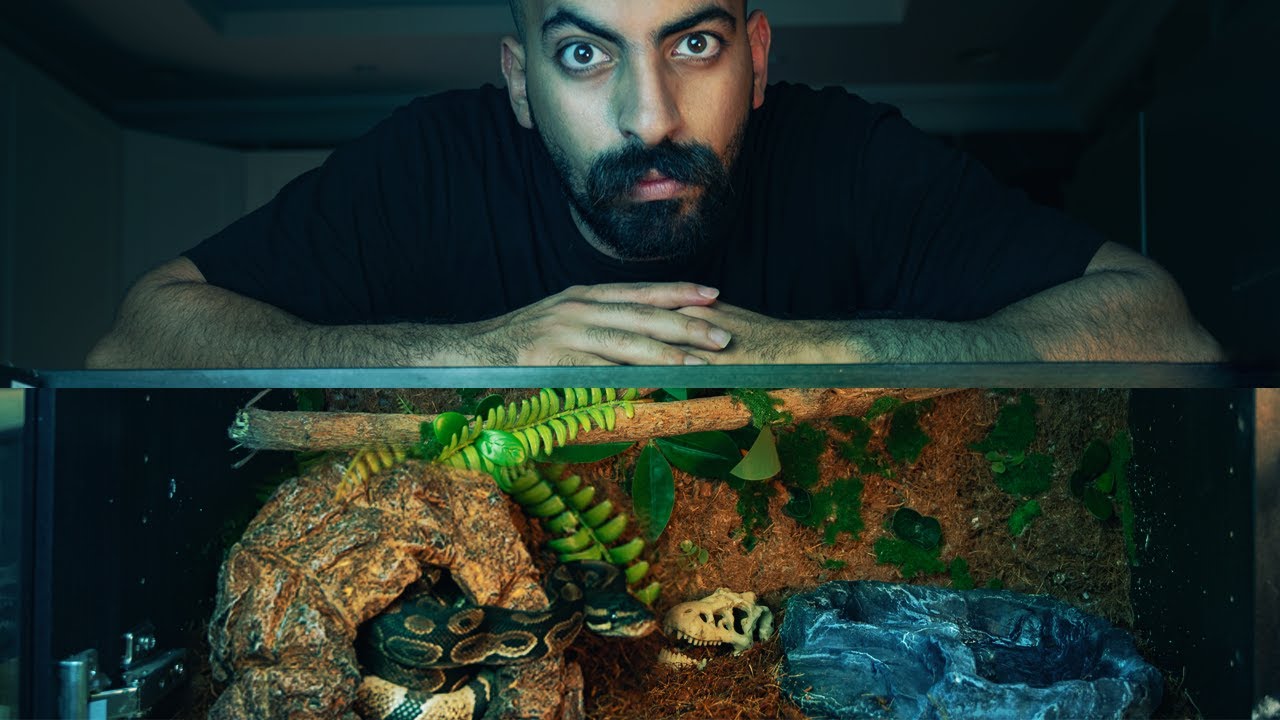 سويت بيت ثعبان أسطوري من الصفر #مشروع_الويكند