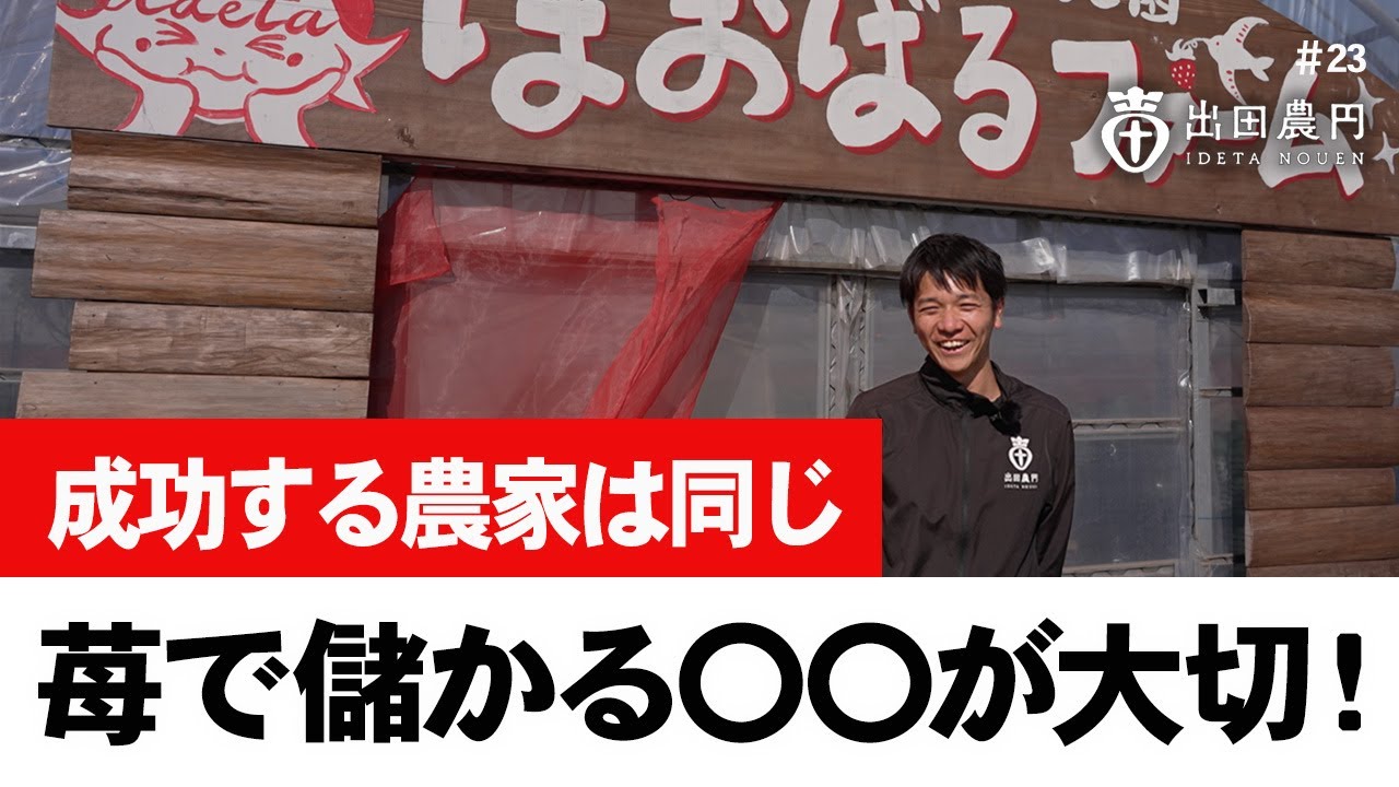 成功する農家は同じ！苺で儲かる〇〇が大切！【イチゴ農家】【出田農園】【出田農円】