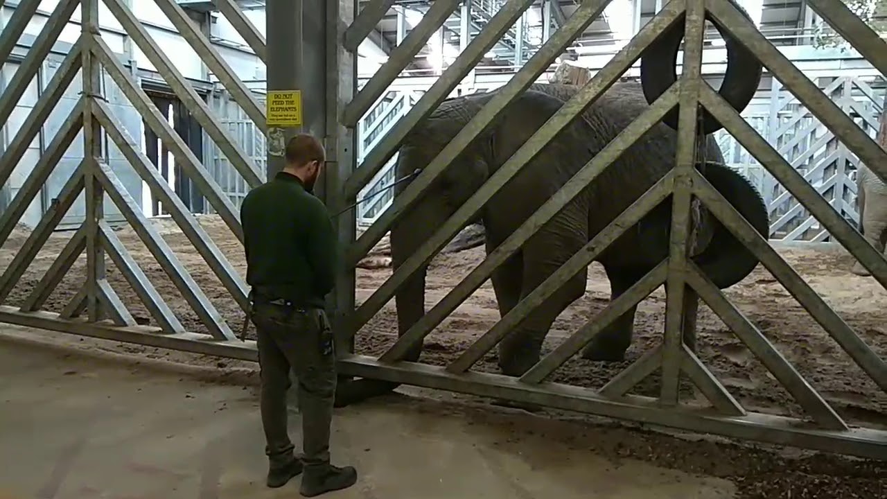 Noah's Ark Zoo near Bristol UK