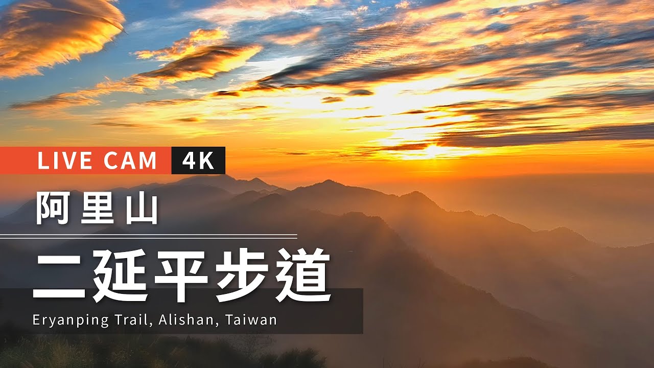 4K Live cam-Alishan【阿里山美景4K直播】-二延平步道 Eryanping Trail