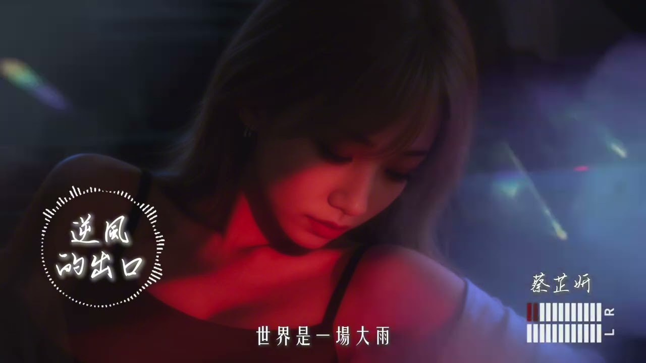 逆風的出口 - 蔡芷妍｜『就算遍體鱗傷 我仍握緊拳頭 尋找那道光』動態歌詞