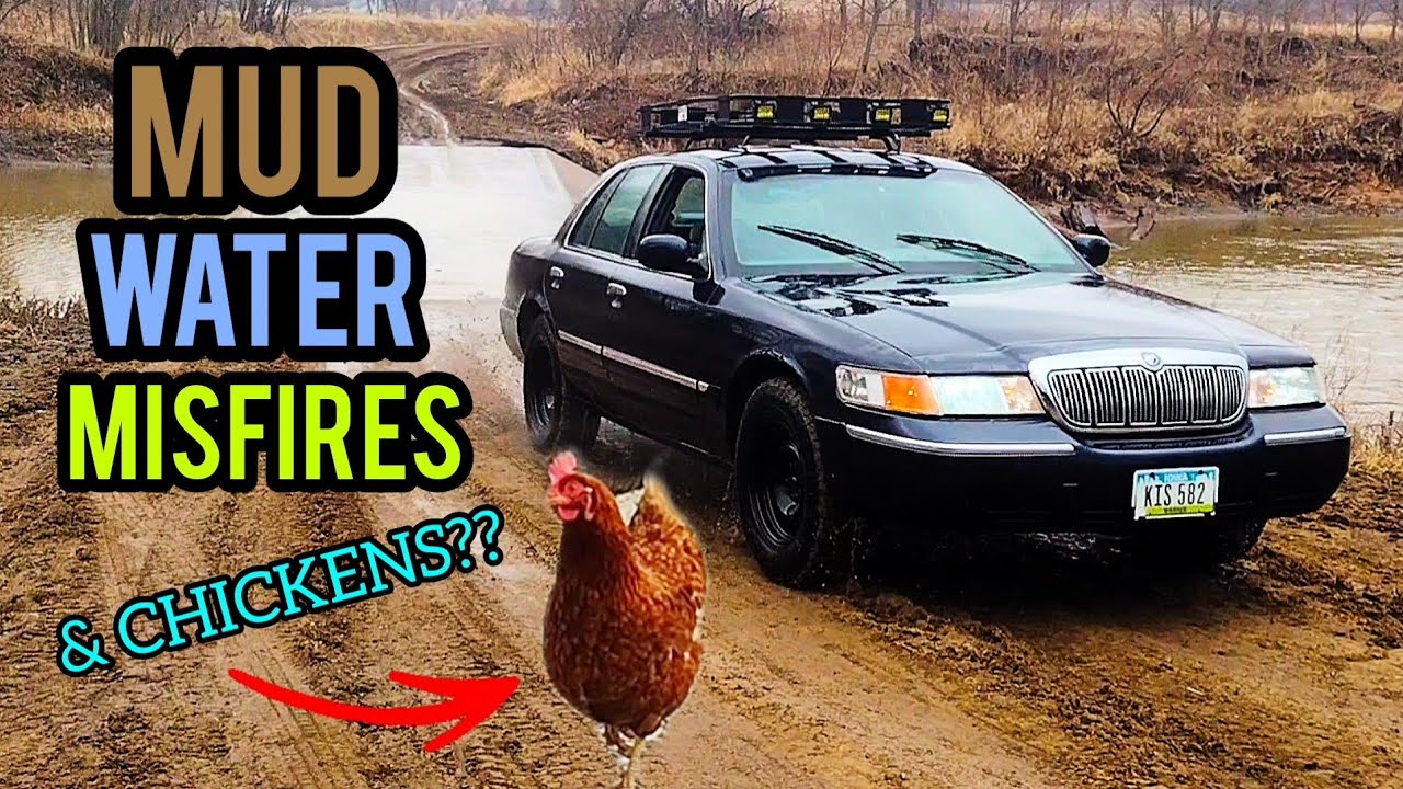 The LIFTED Grand Marquis Goes OFF ROAD! Water Crossing, Sloppy Mud, and Ditch Flexing!