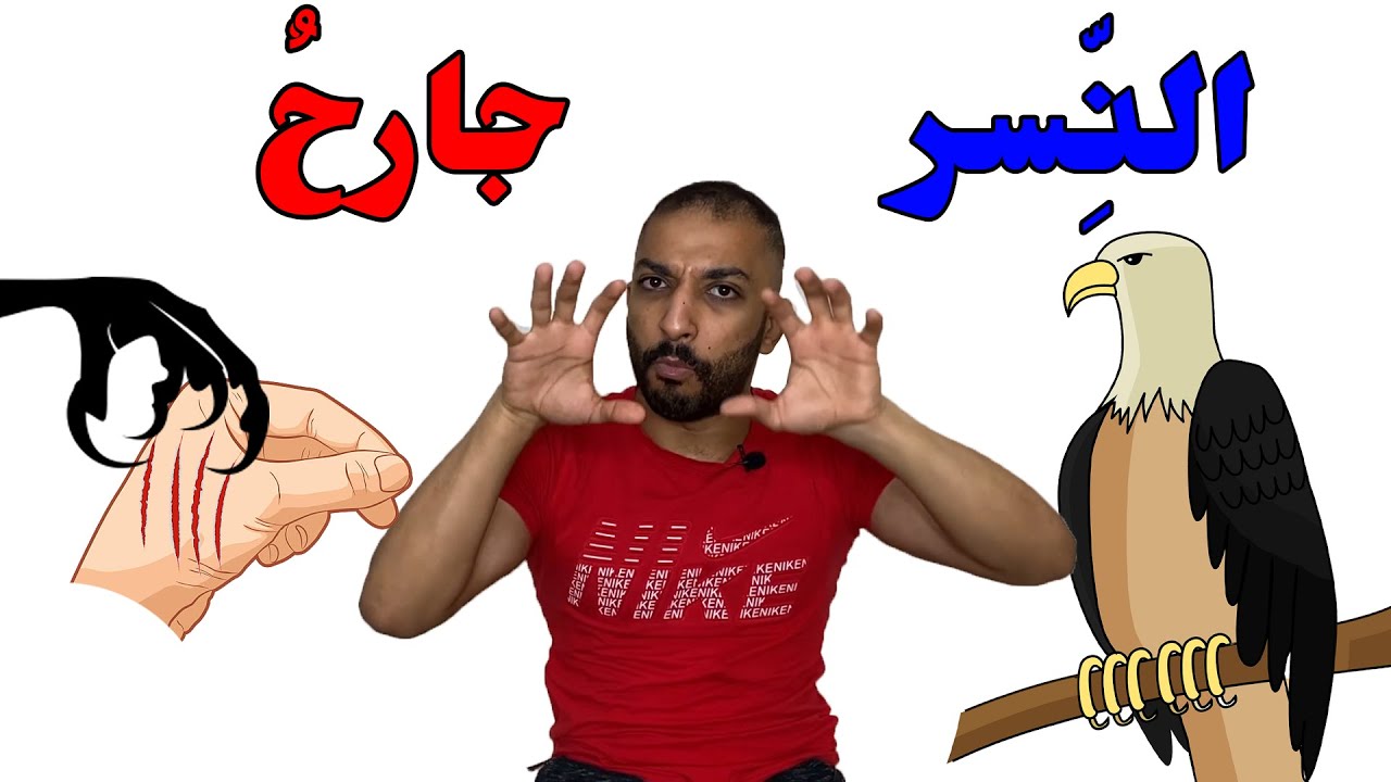 (58) الطيور وصفاتها || وحدة عالم الحيوان || الجزء الثالث ll سلسلة كنوز