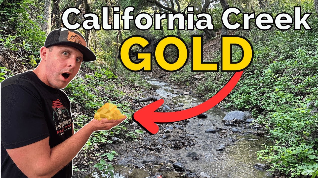 California Creek loaded with GOLD