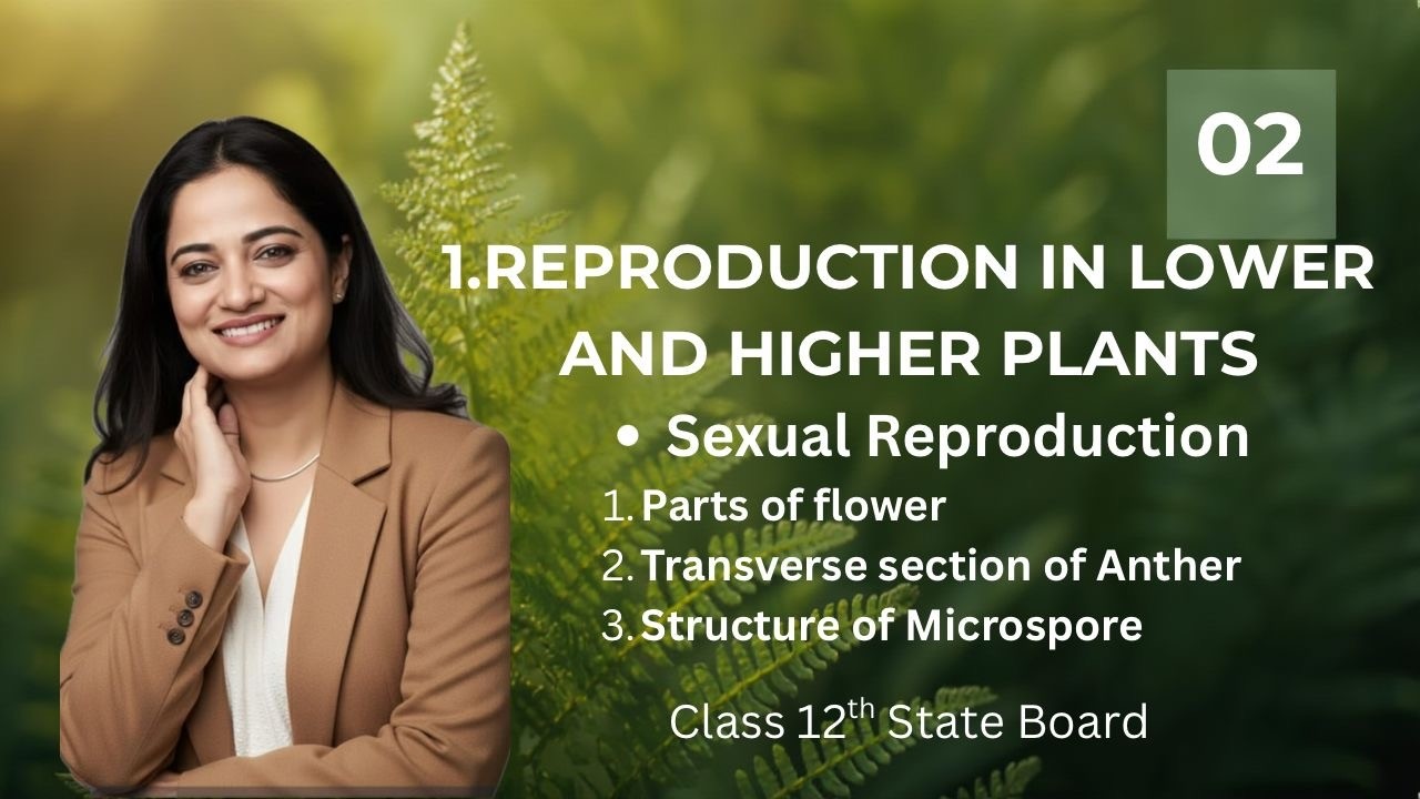 1.Reproduction in Lower and Higher Plants {Sexual Reproduction} I State Board I Class 12th Biology
