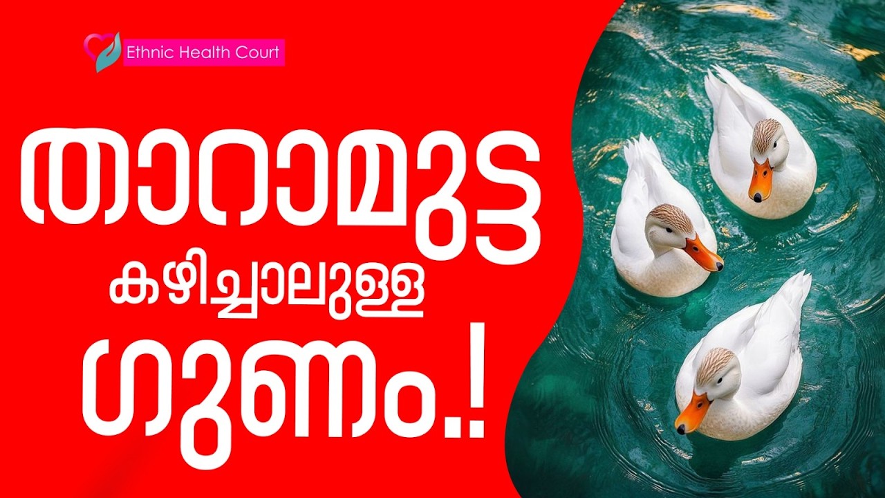 താറാമുട്ട കഴിച്ചാലുള്ള ഗുണം.!