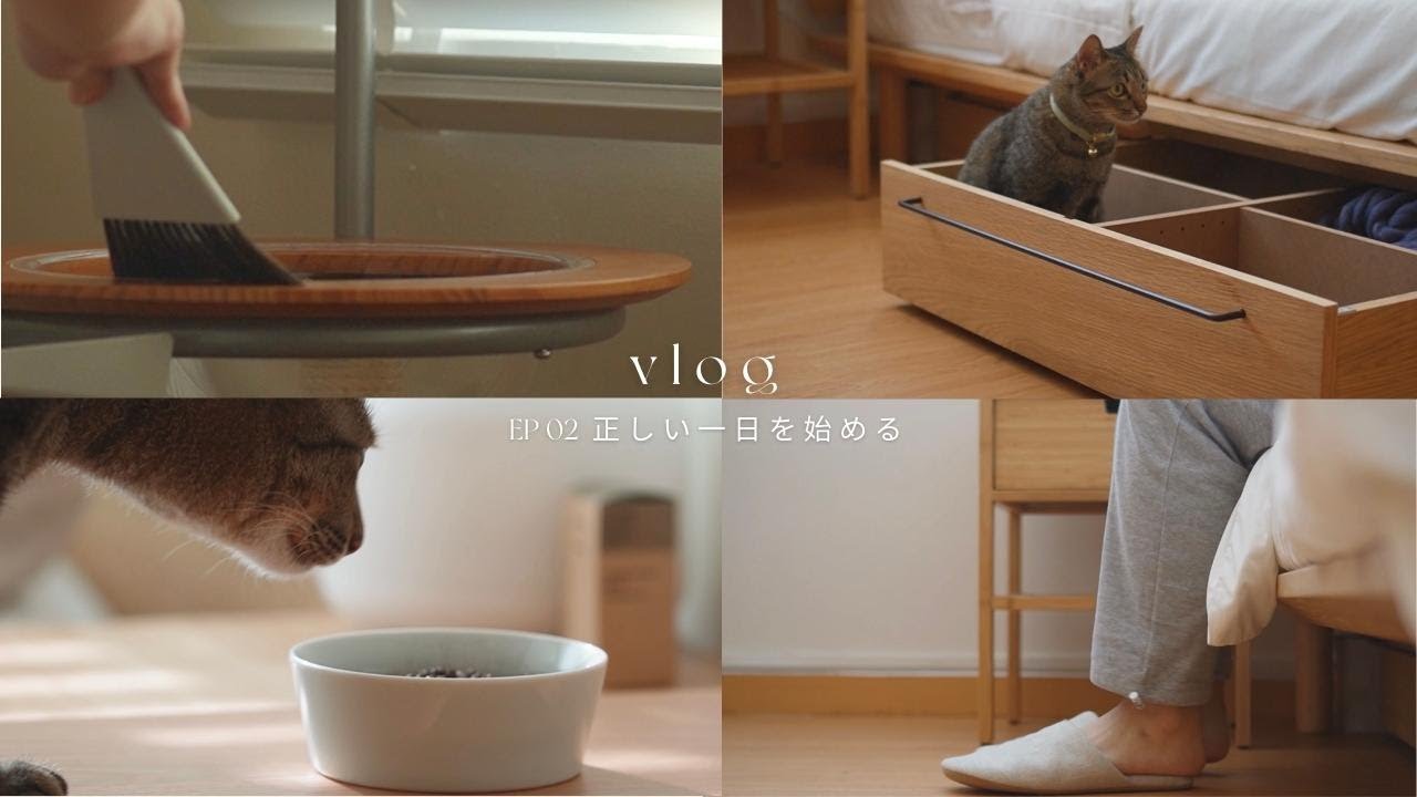 Start the day, Rescue Cat, Minimalist Room Decor, Wooden Home, I will do my best