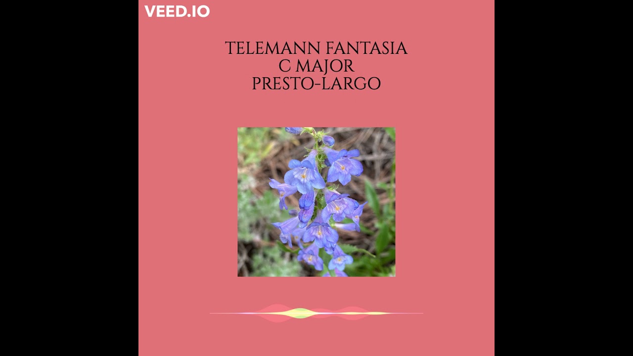 Telemann Fantasia in C Major: Presto - Largo
