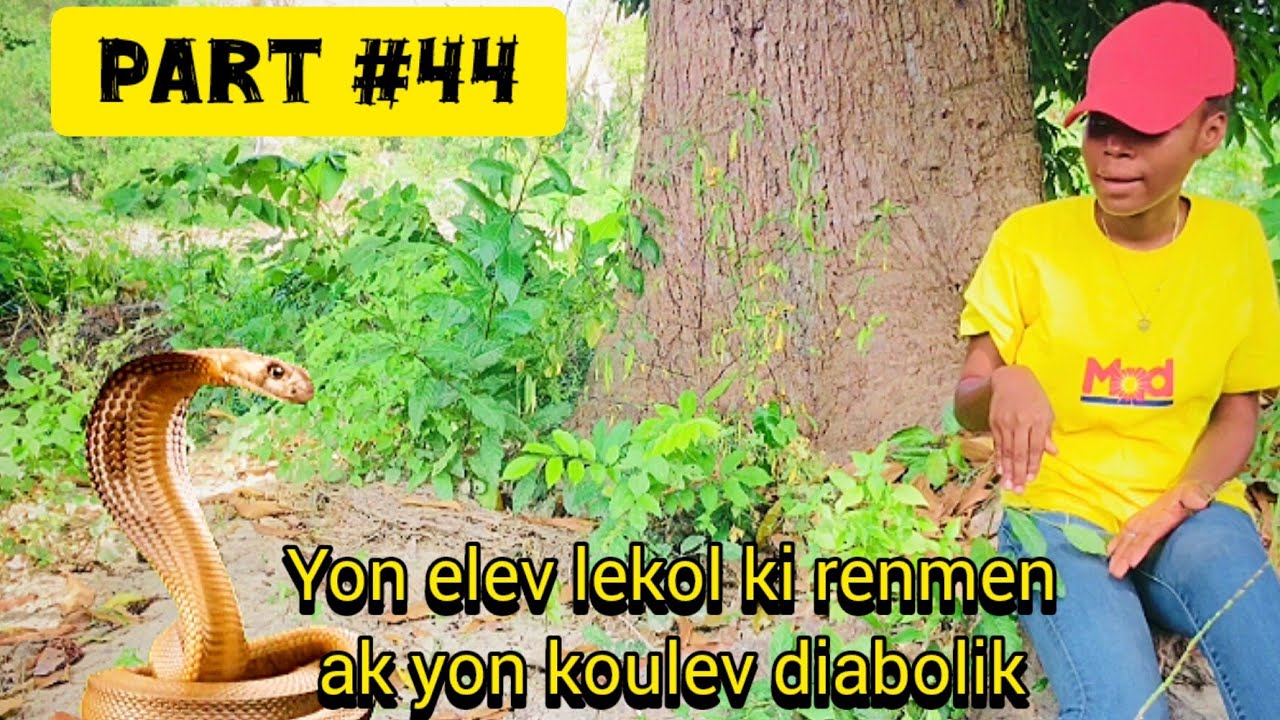 yon elev lekol ki renmen ak yon koulev diabolik part #44/wooooyyy jenny ansent 🙆🙆