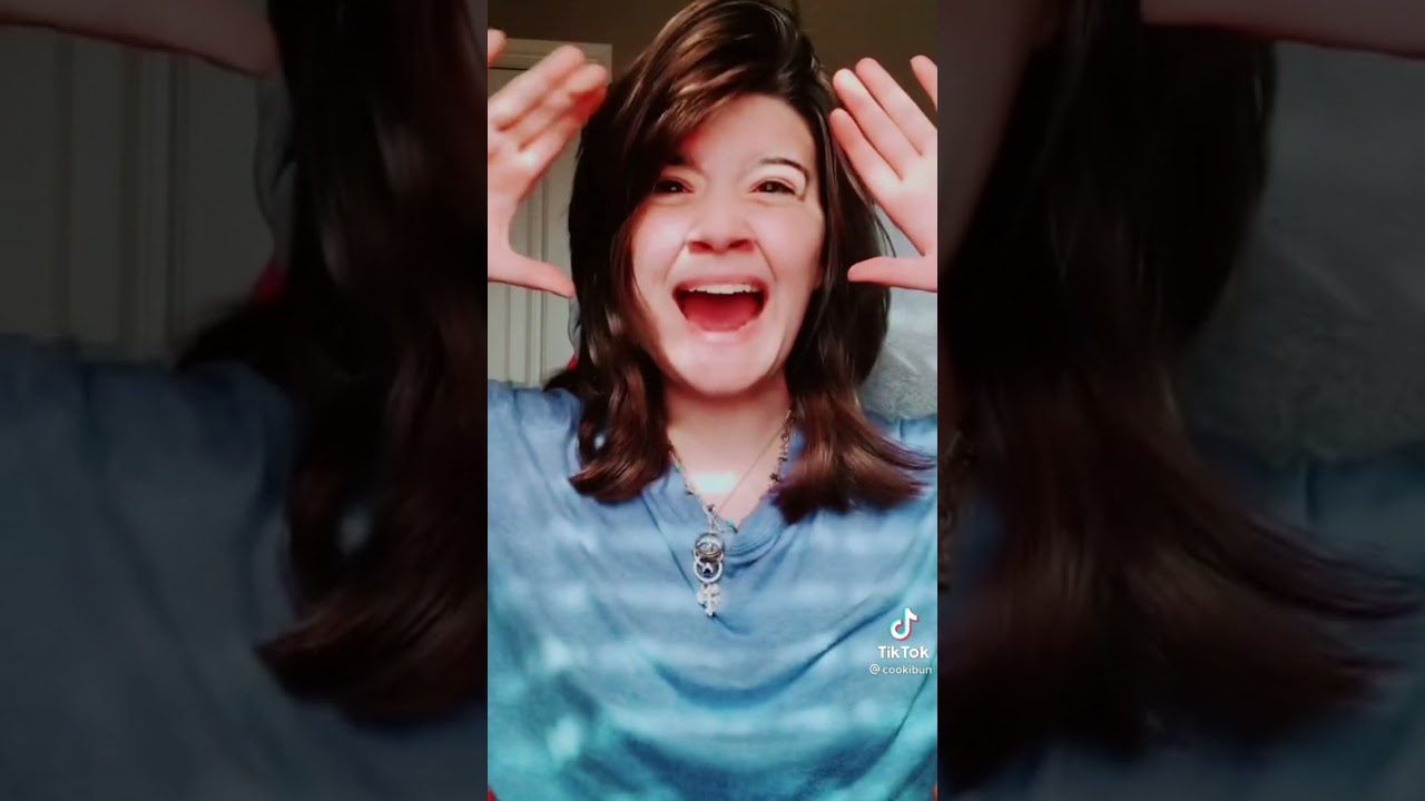 Technoblade TikTok Compilation